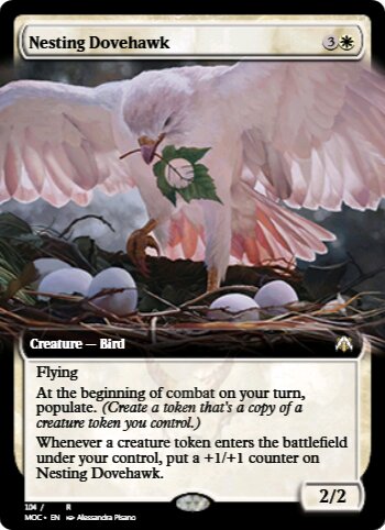 Nesting Dovehawk
