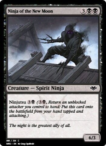 Ninja of the New Moon