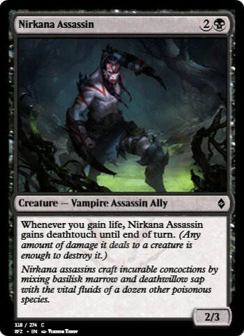Nirkana Assassin