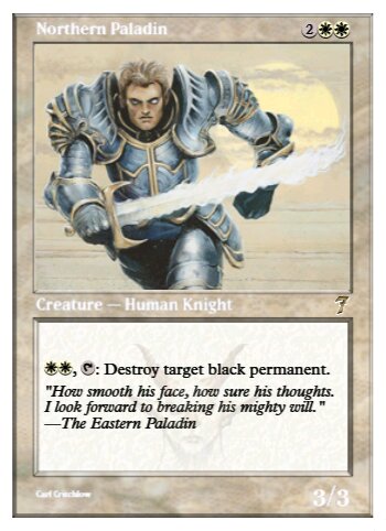 Northern Paladin
