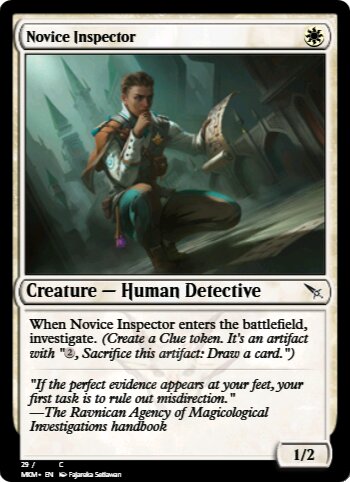 Novice Inspector