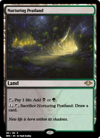 Nurturing Peatland