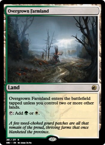 Overgrown Farmland
