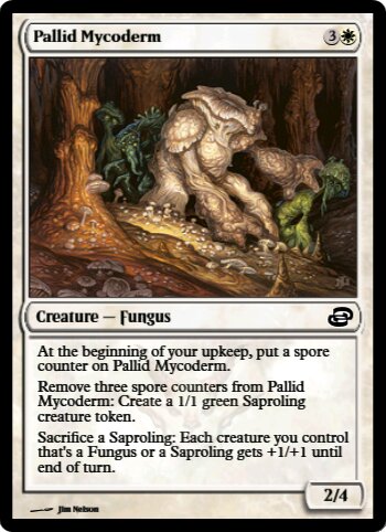 Pallid Mycoderm