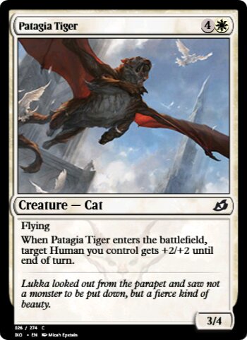 Patagia Tiger