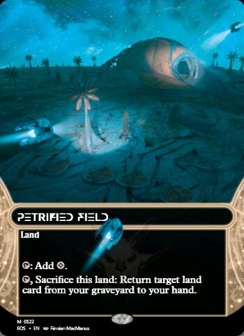 Petrified Field