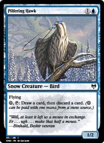 Pilfering Hawk