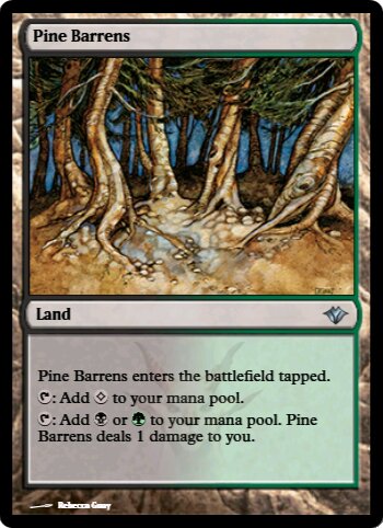Pine Barrens