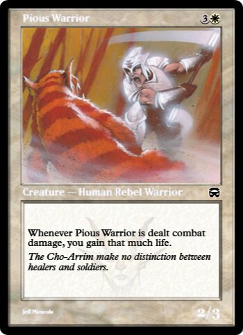Pious Warrior