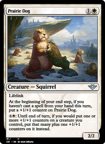 Prairie Dog