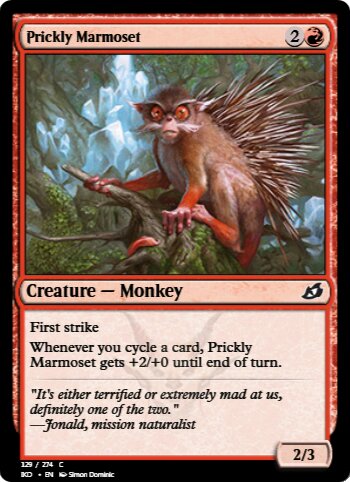 Prickly Marmoset