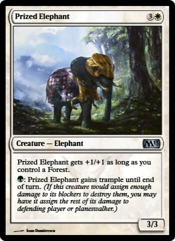 Prized Elephant