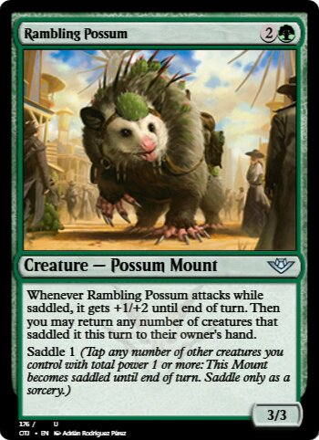 Rambling Possum