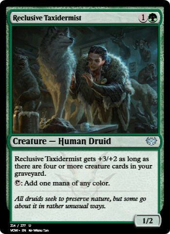 Reclusive Taxidermist