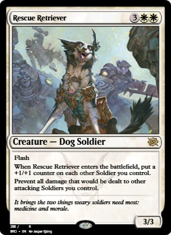Rescue Retriever
