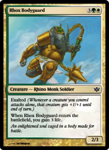 Rhox Bodyguard