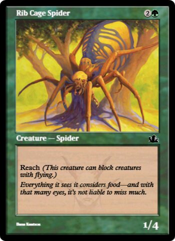 Rib Cage Spider