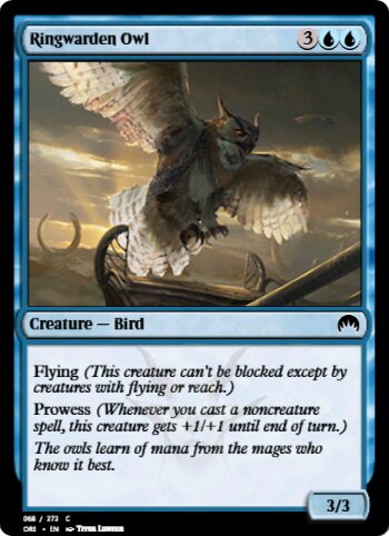 Ringwarden Owl