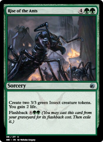Rise of the Ants