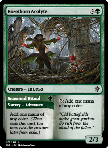 Rosethorn Acolyte