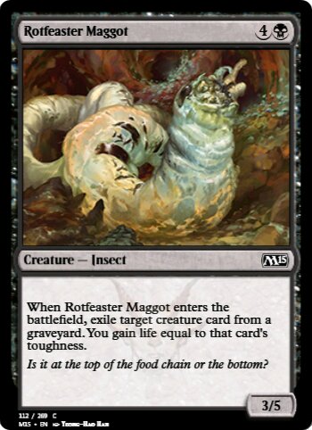 Rotfeaster Maggot