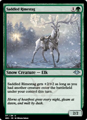 Saddled Rimestag