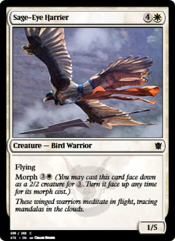 Sage-Eye Harrier