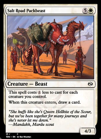 Salt Road Packbeast