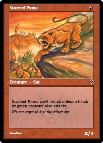 Scarred Puma