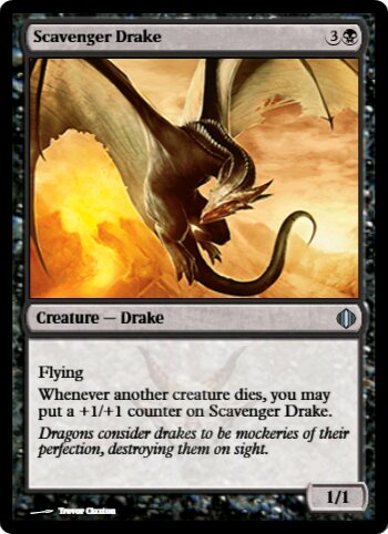 Scavenger Drake
