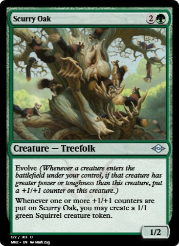 Scurry Oak