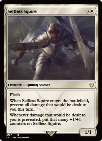 Selfless Squire