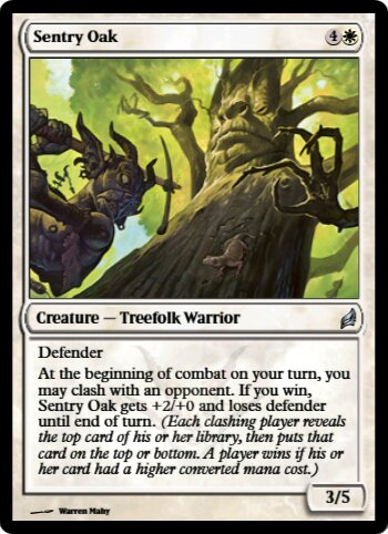 Sentry Oak