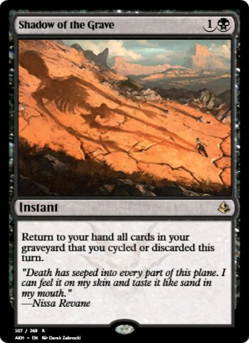 Shadow of the Grave