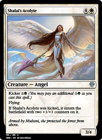 Shalai's Acolyte