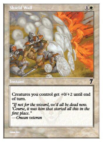 Shield Wall