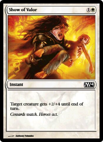 Show of Valor