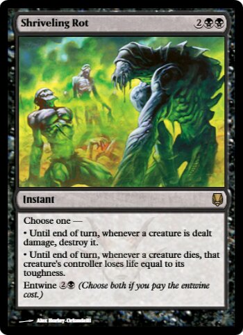 Shriveling Rot