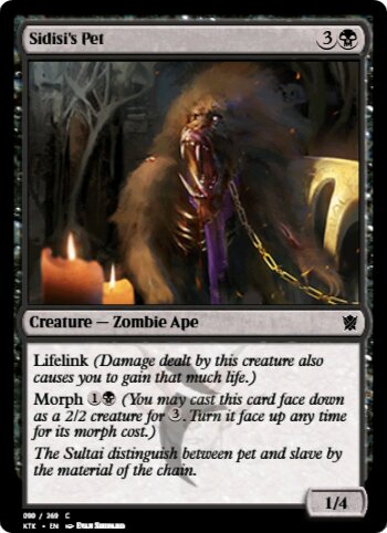 Sidisi's Pet