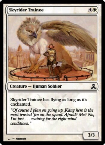 Skyrider Trainee