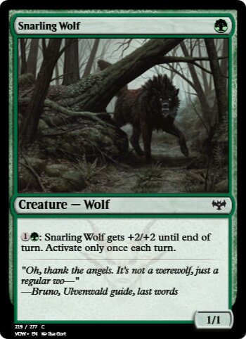 Snarling Wolf