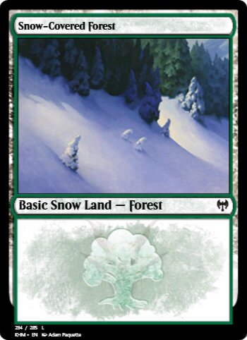 Snow-Covered Forest