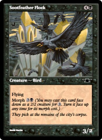 Sootfeather Flock