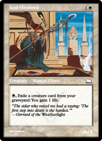 Soul Shepherd