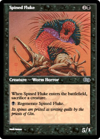 Spined Fluke