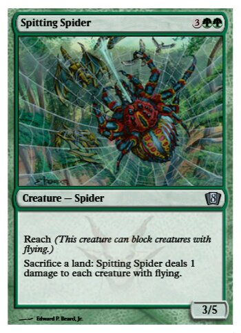 Spitting Spider