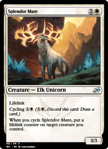 Splendor Mare