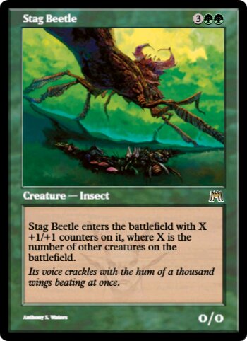 Stag Beetle