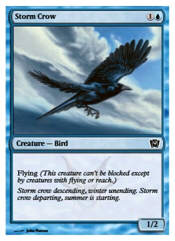 Storm Crow