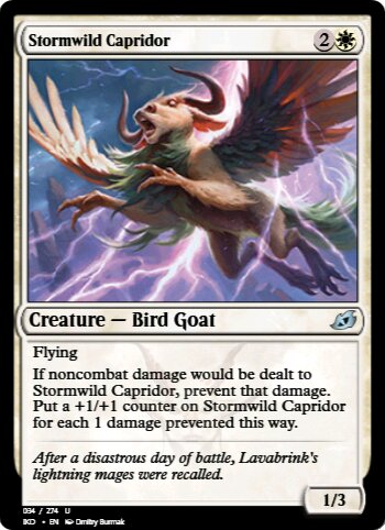 Stormwild Capridor